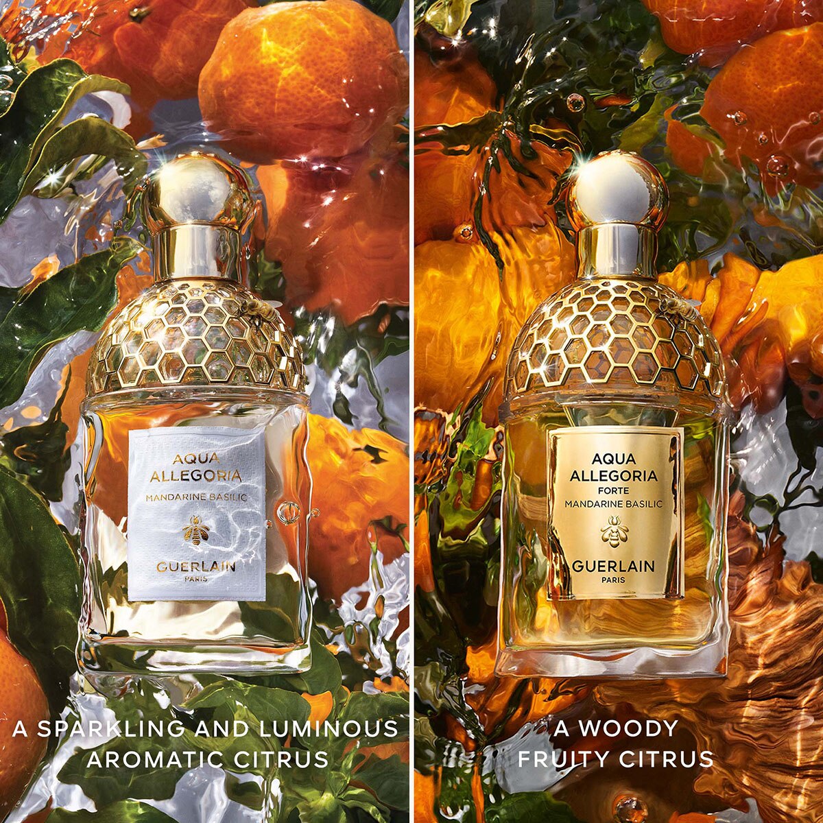 Aqua Allegoria Mandarine Basilic Eau de Toilette 5