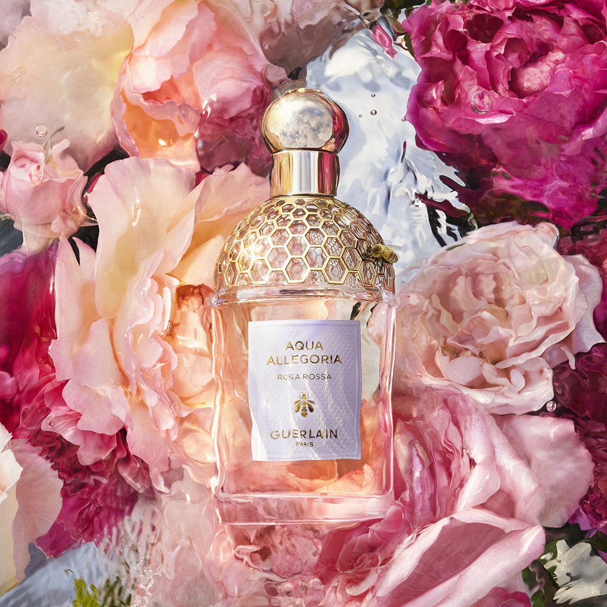 Aqua Allegoria Rosa Rossa Eau de Toilette 3