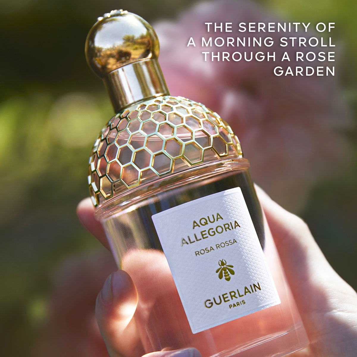 Aqua Allegoria Rosa Rossa Eau de Toilette 4