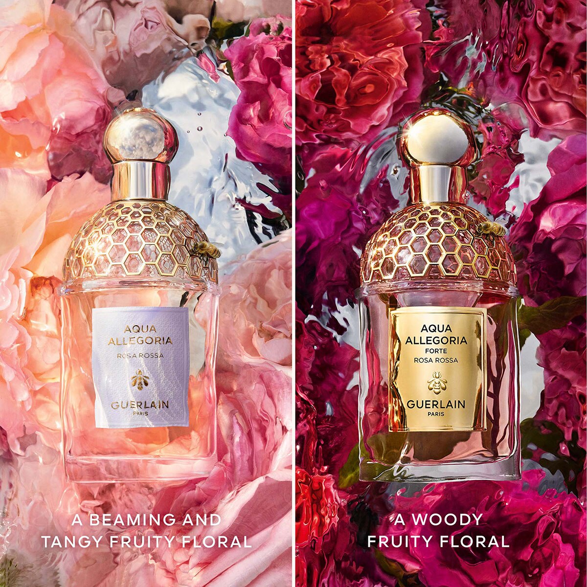 Aqua Allegoria Rosa Rossa Eau de Toilette 6