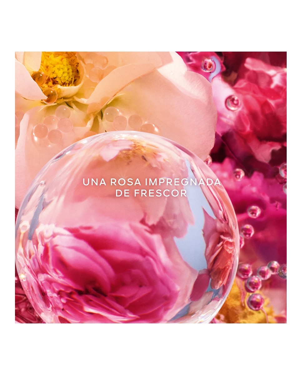 Aqua Allegoria Perle Rosa Rossa Eau de Parfum 3
