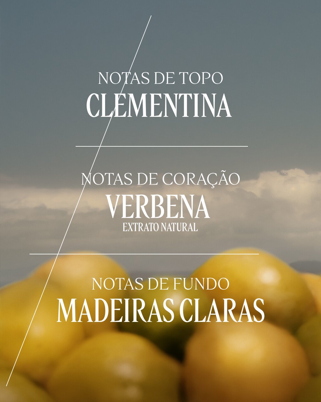 Verveine Agrumes Eau de Toilette 5