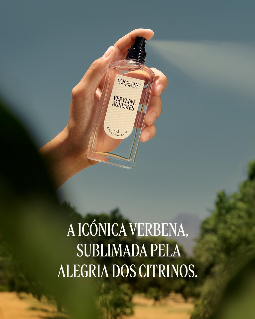 Verveine Agrumes Eau de Toilette 7