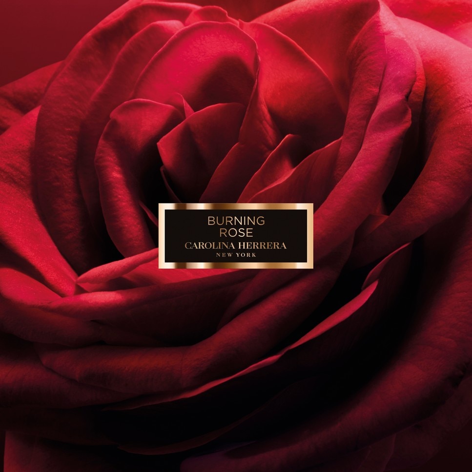 Burning Rose Confidential Eau de Parfum - 100 ml 6