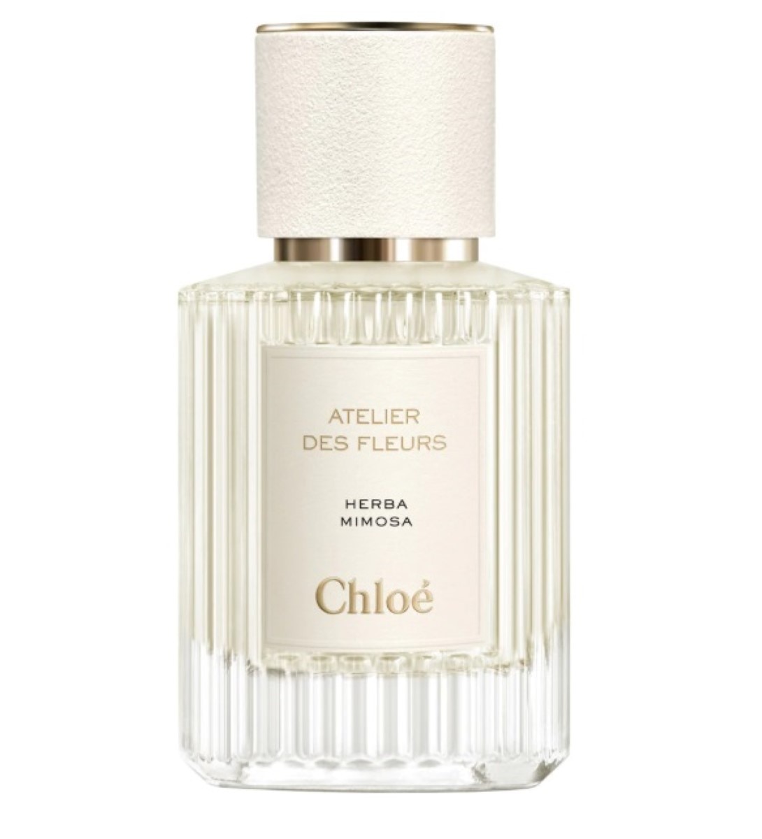 Herba Mimosa Atelier des Fleurs Eau de Parfum 1