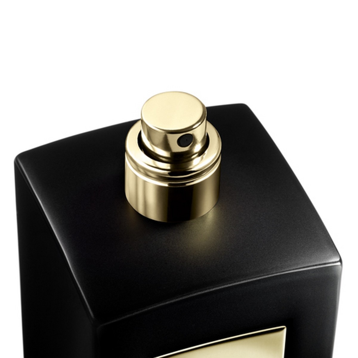 Sable Nuit Eau de Parfum Intense Armani Privé 100ml Giorgio Armani 3