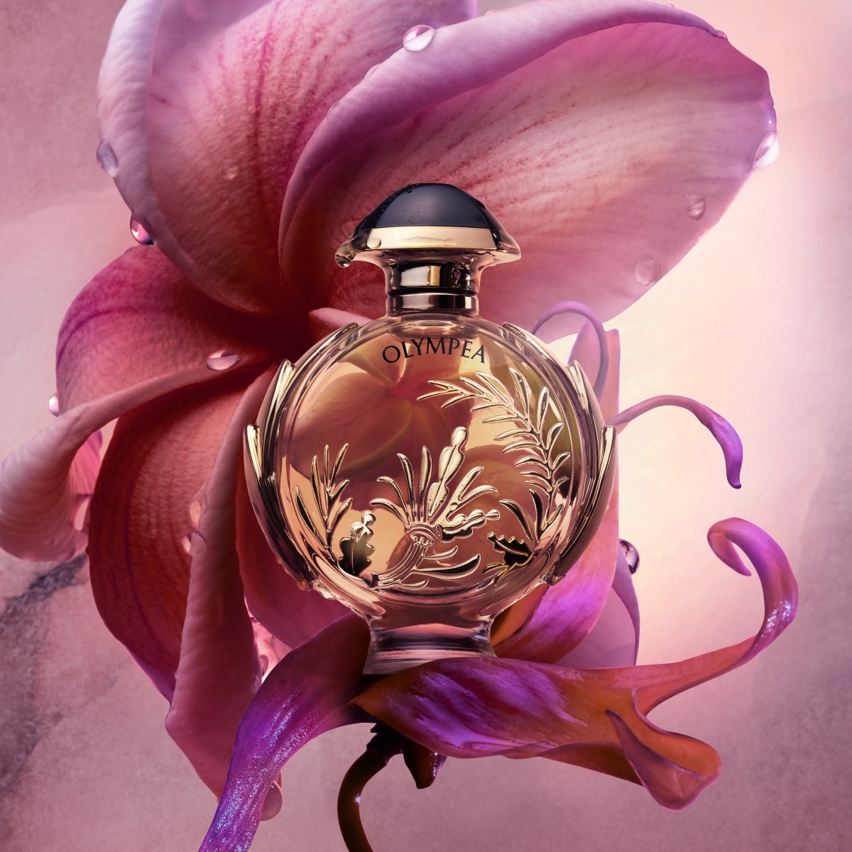 Olympéa Solar Eau de Parfum Intense 4