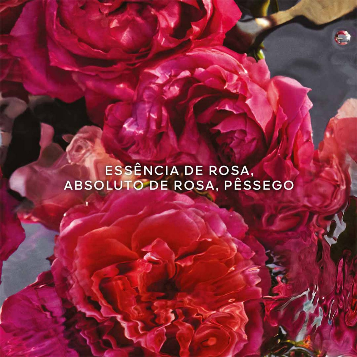 Aqua Allegoria Forte Rosa Rossa Eau de Parfum- 75 ml 4