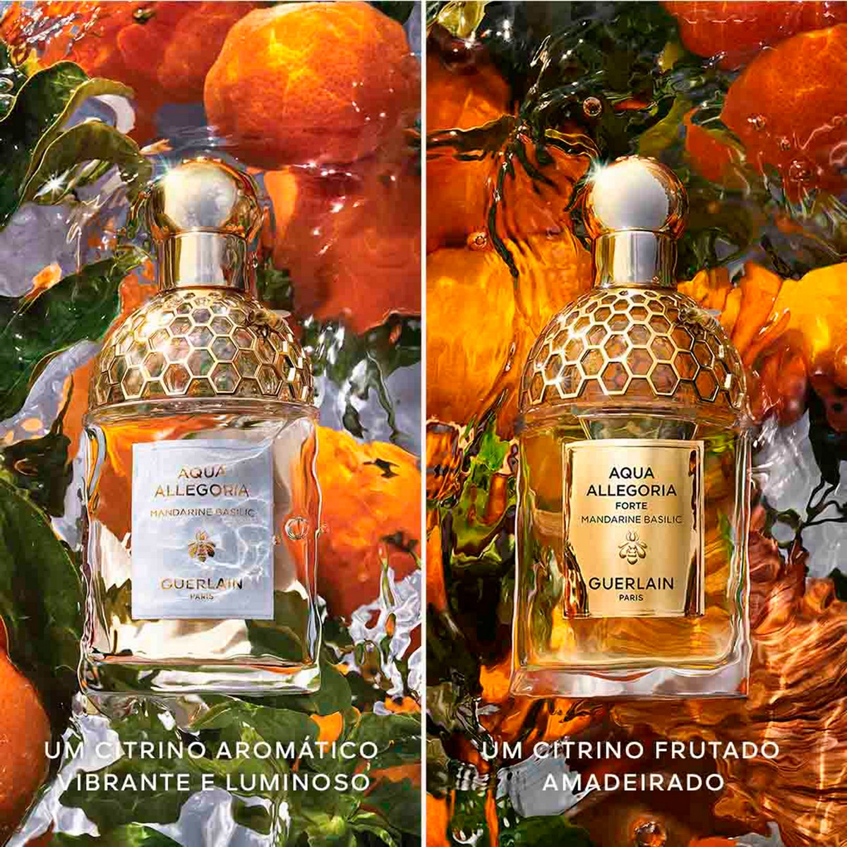Aqua Allegoria Forte Mandarine Basilic Eau de Parfum- 75 ml 5