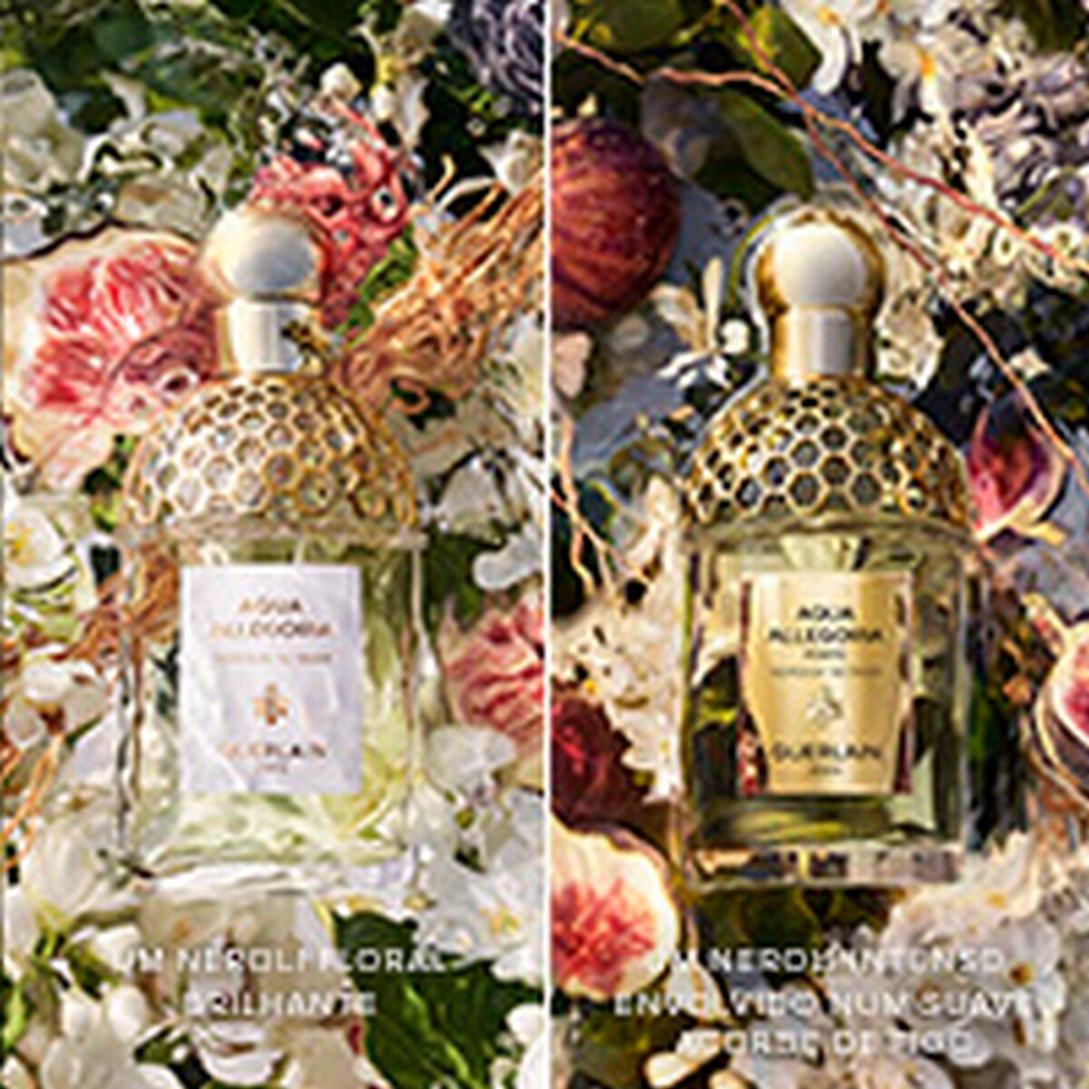 Aqua Allegoria Forte Nerolia Vetiver Eau de Parfum - 75 ml 5