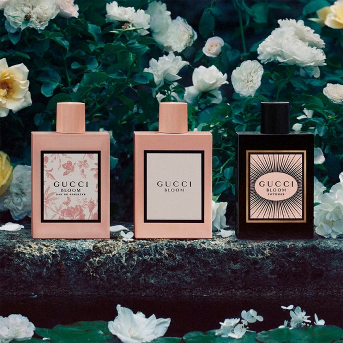 Gucci Bloom Intense Eau de Parfum Intense - 50 ml 4
