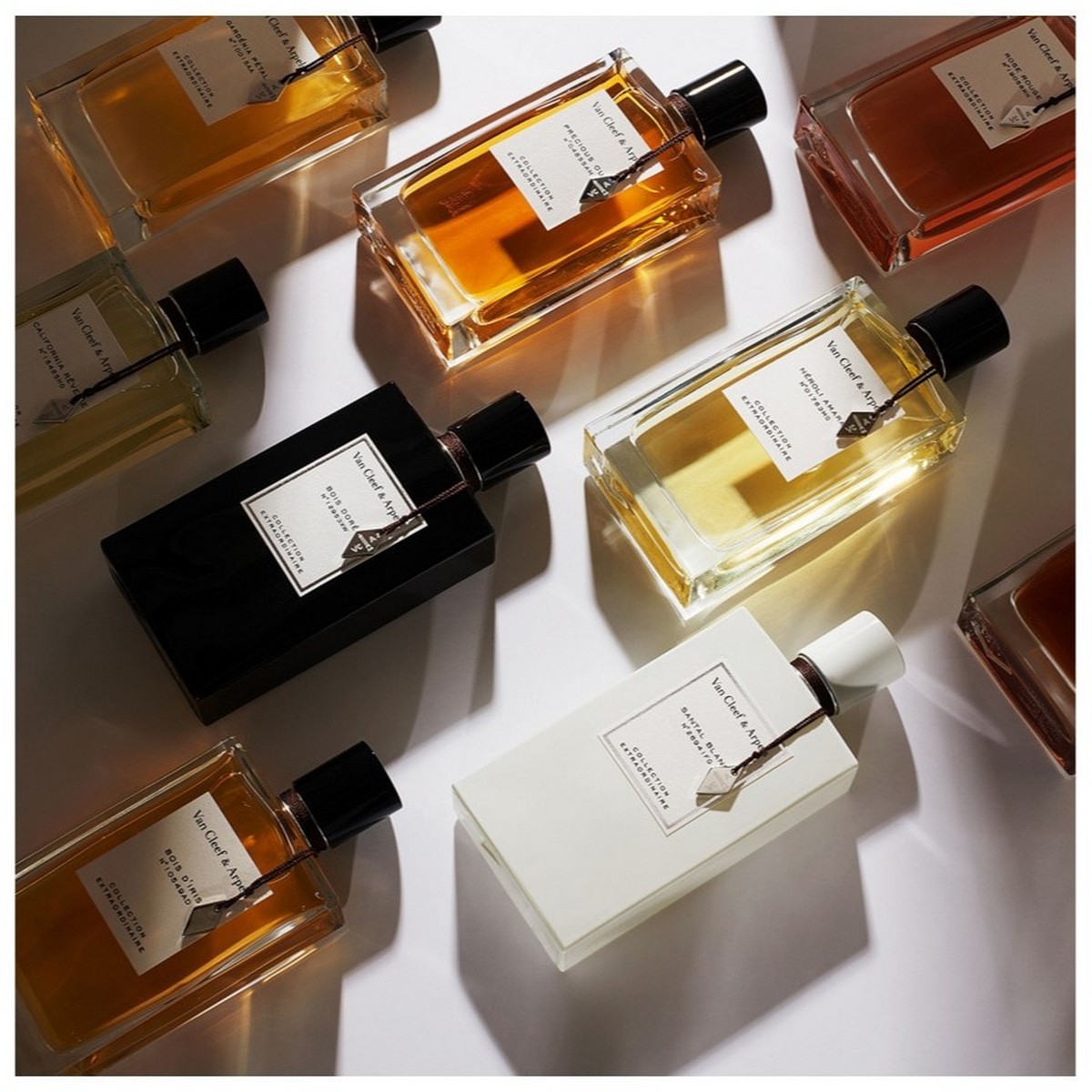 Collection Extraordinarie Santal Blanc Eau de Parfum - 75 ml 6