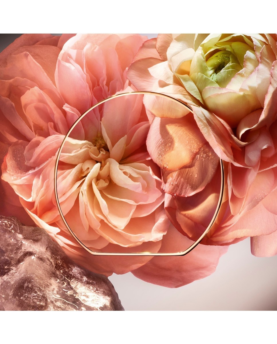 1001 Roses Absolue Les Parfums Eau de Parfum 3