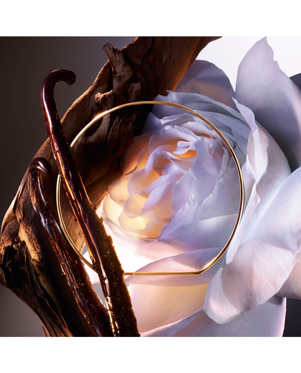 Rose On The Moon Absolue Les Parfums Eau de Parfum 3