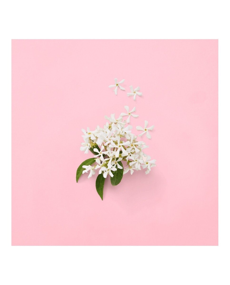 Recarga Flora Gorgeous Gardenia Eau de Parfum 6