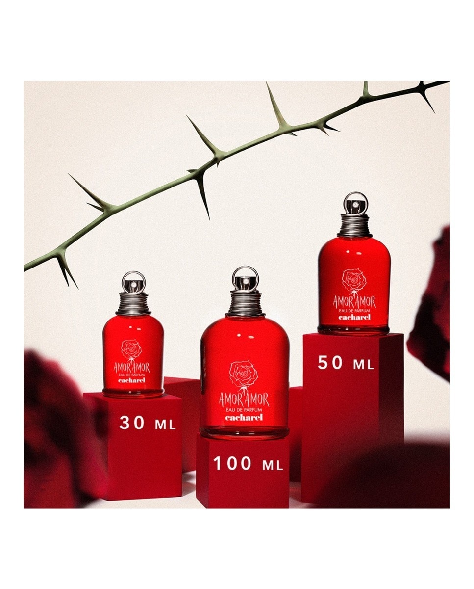 Eau de Parfum Amor Amor Chipre Floral - 30 ml 5
