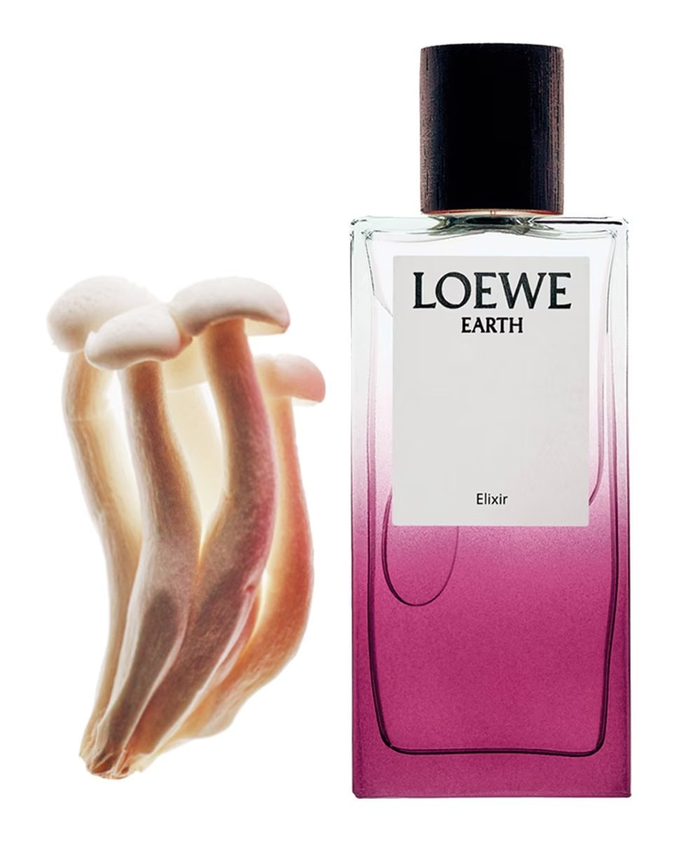 Eau de Parfum Earth Elixir 4