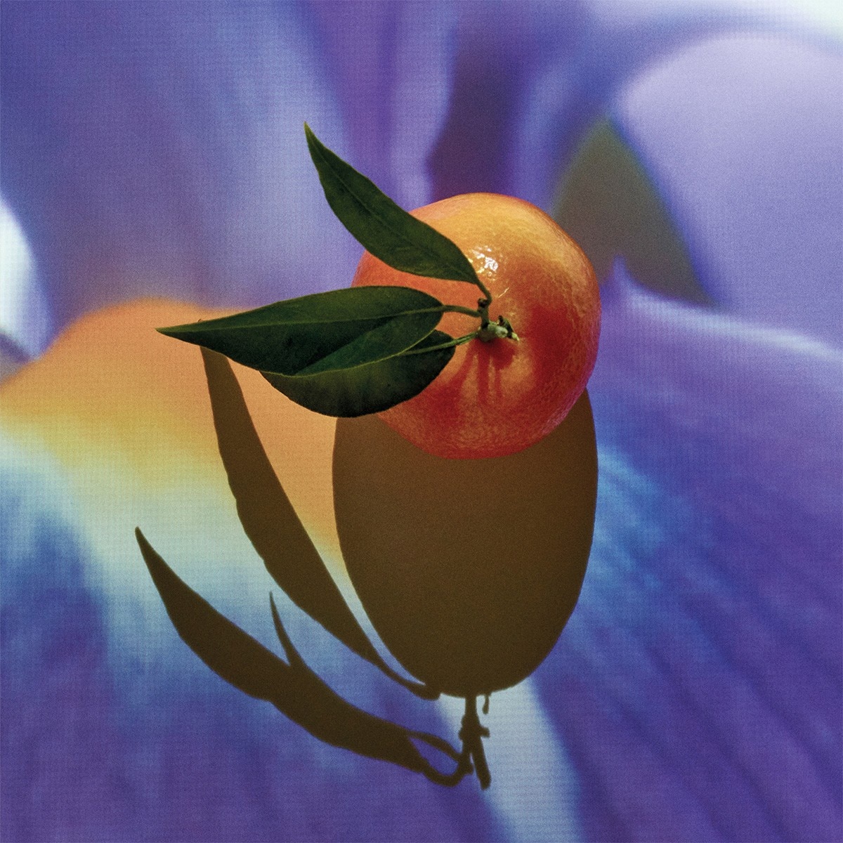 Eau de Parfum Solo Elixir 3