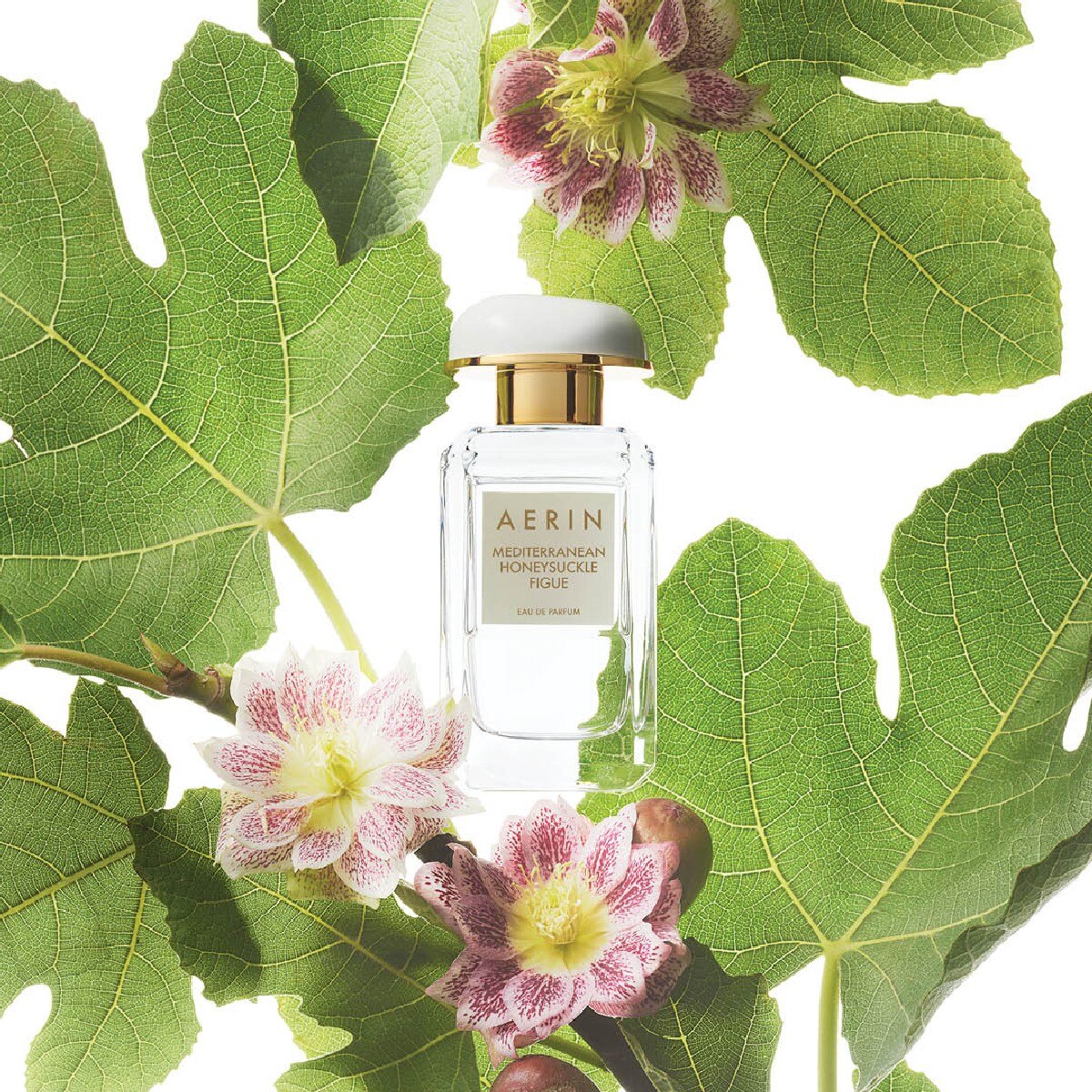 Eau de Parfum AERIN Mediterranean Honeysuckle Figue Eau de Parfum Spray 3