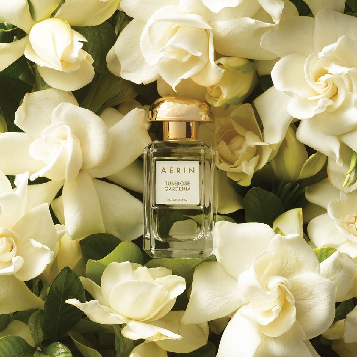 Eau de Parfum AERIN Tuberose Gardenia Eau de Parfum Spray 2