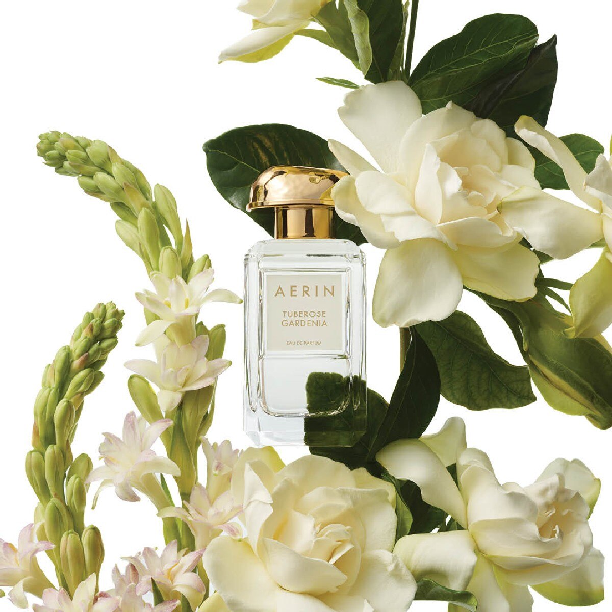 Eau de Parfum AERIN Tuberose Gardenia Eau de Parfum Spray 3