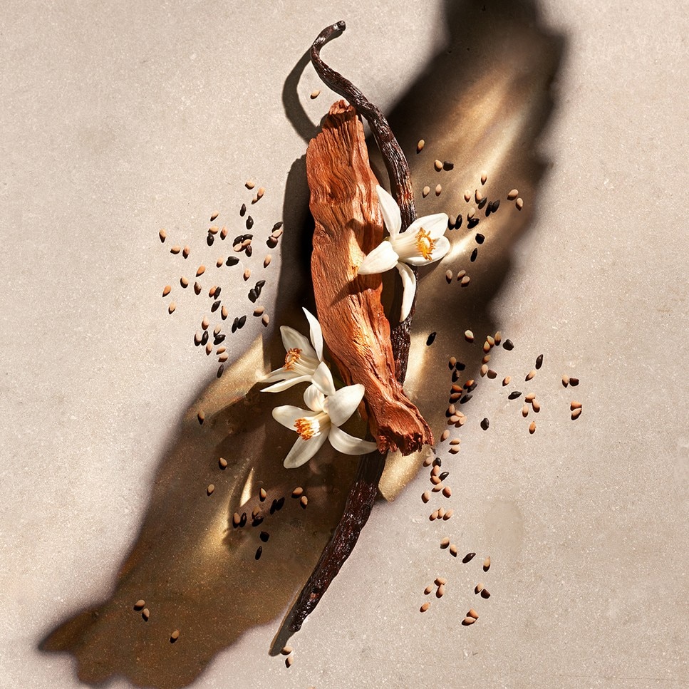 Recarga Zadig Eau de Parfum 2