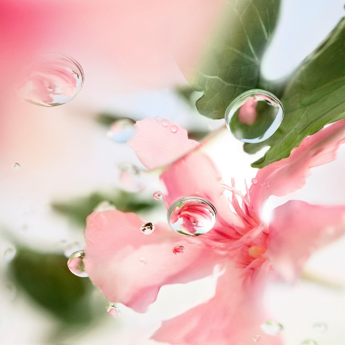 Over The Top Les Ô Eau de Parfum 4