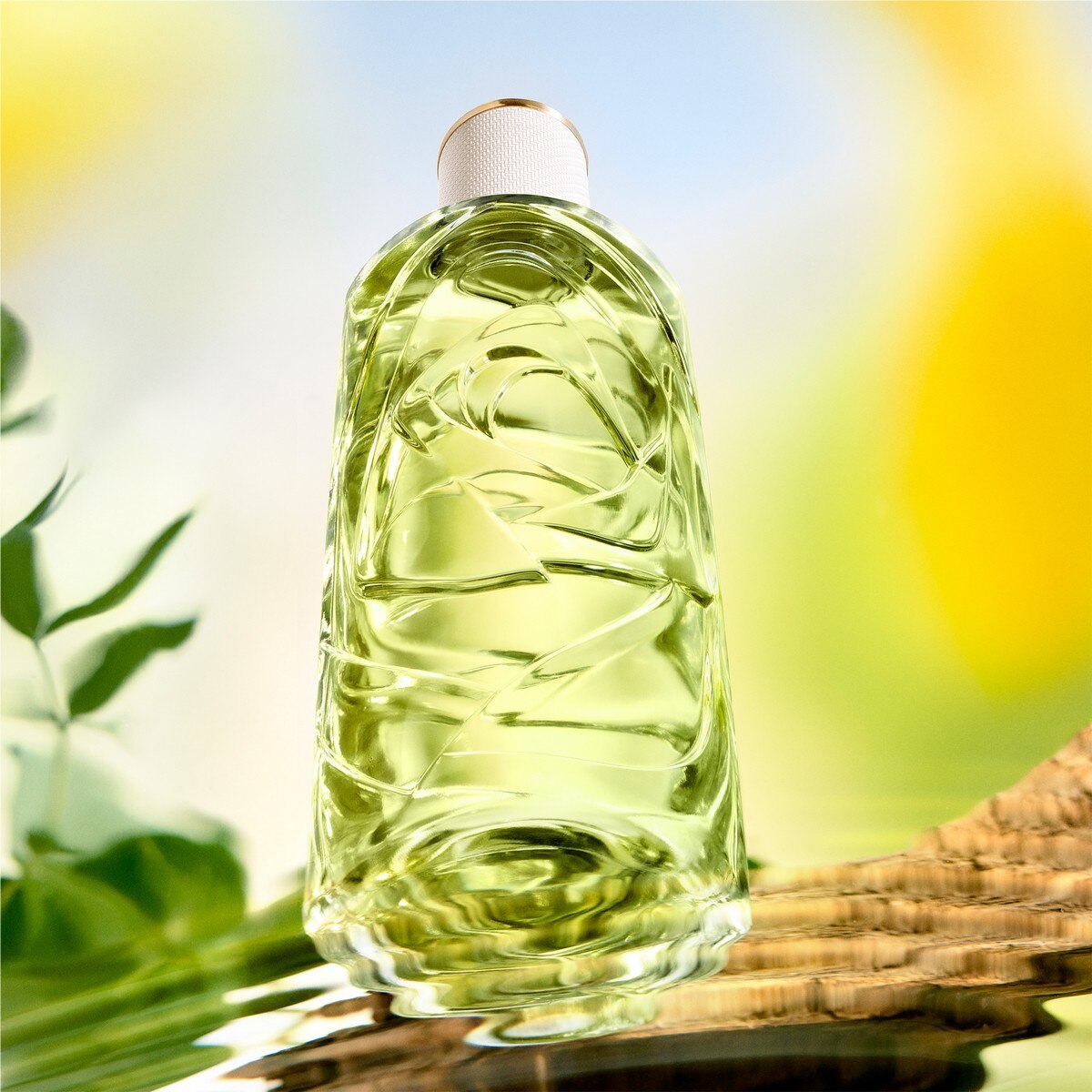 Old Off Now Les Ô Eau de Toilette 3