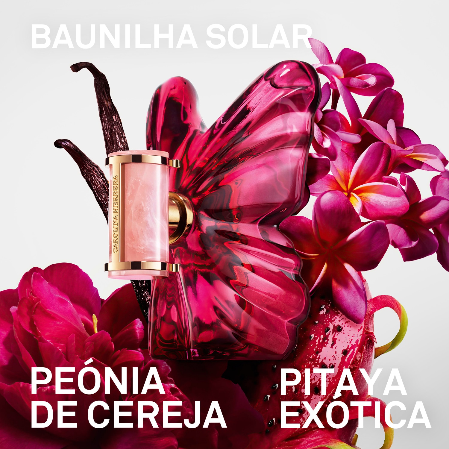 La Bomba Eau de Parfum 4