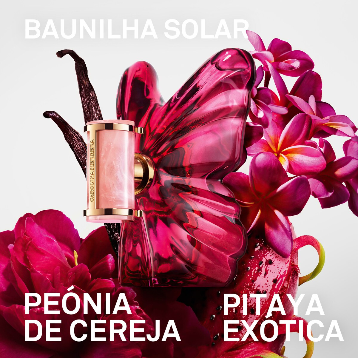 La Bomba Eau de Parfum 4