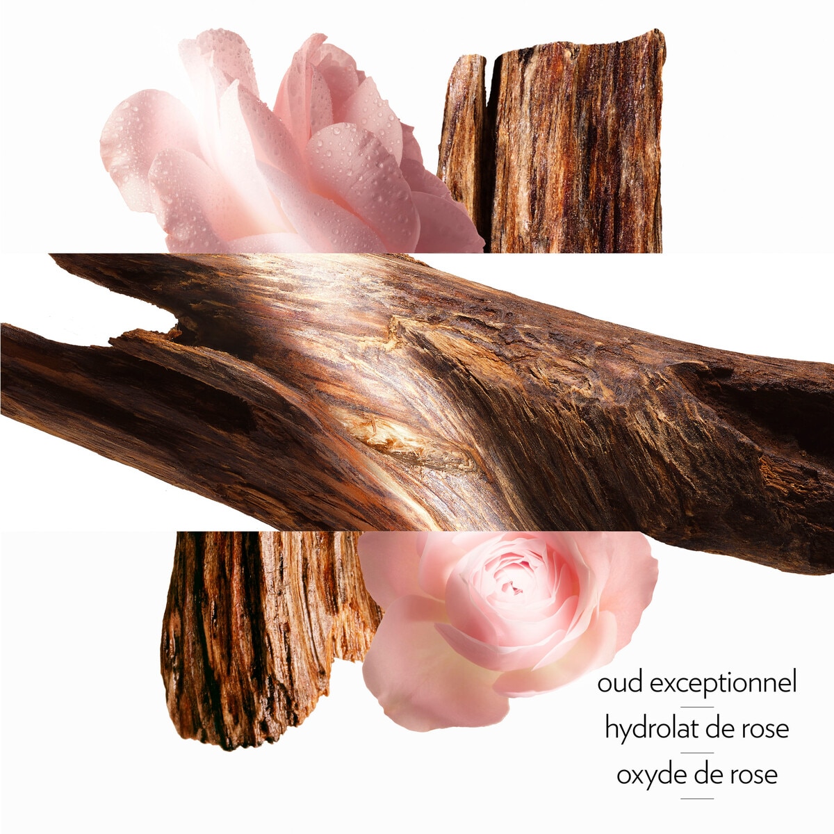 Creme Perfumado para o Corpo Oud Alezan 3