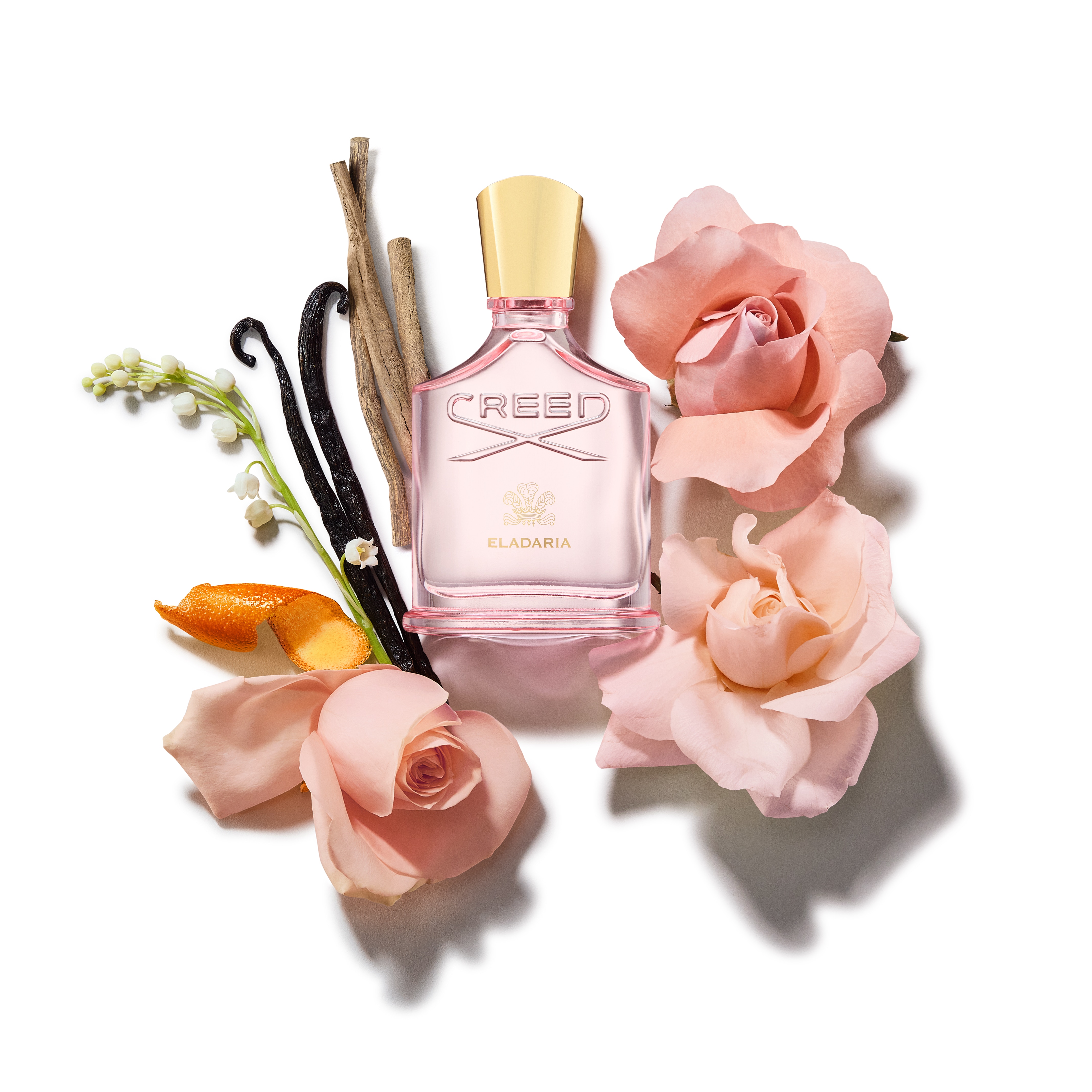 Eladaria Eau de Parfum 3