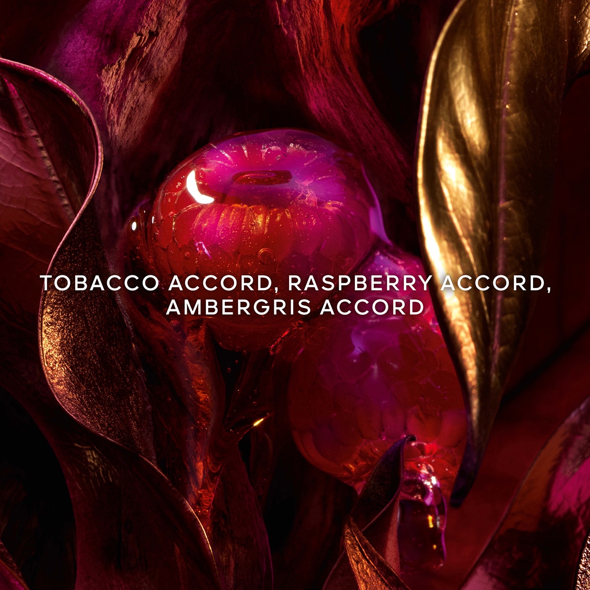 Absolus Allegoria Tabac Sahara Eau de Parfum 4