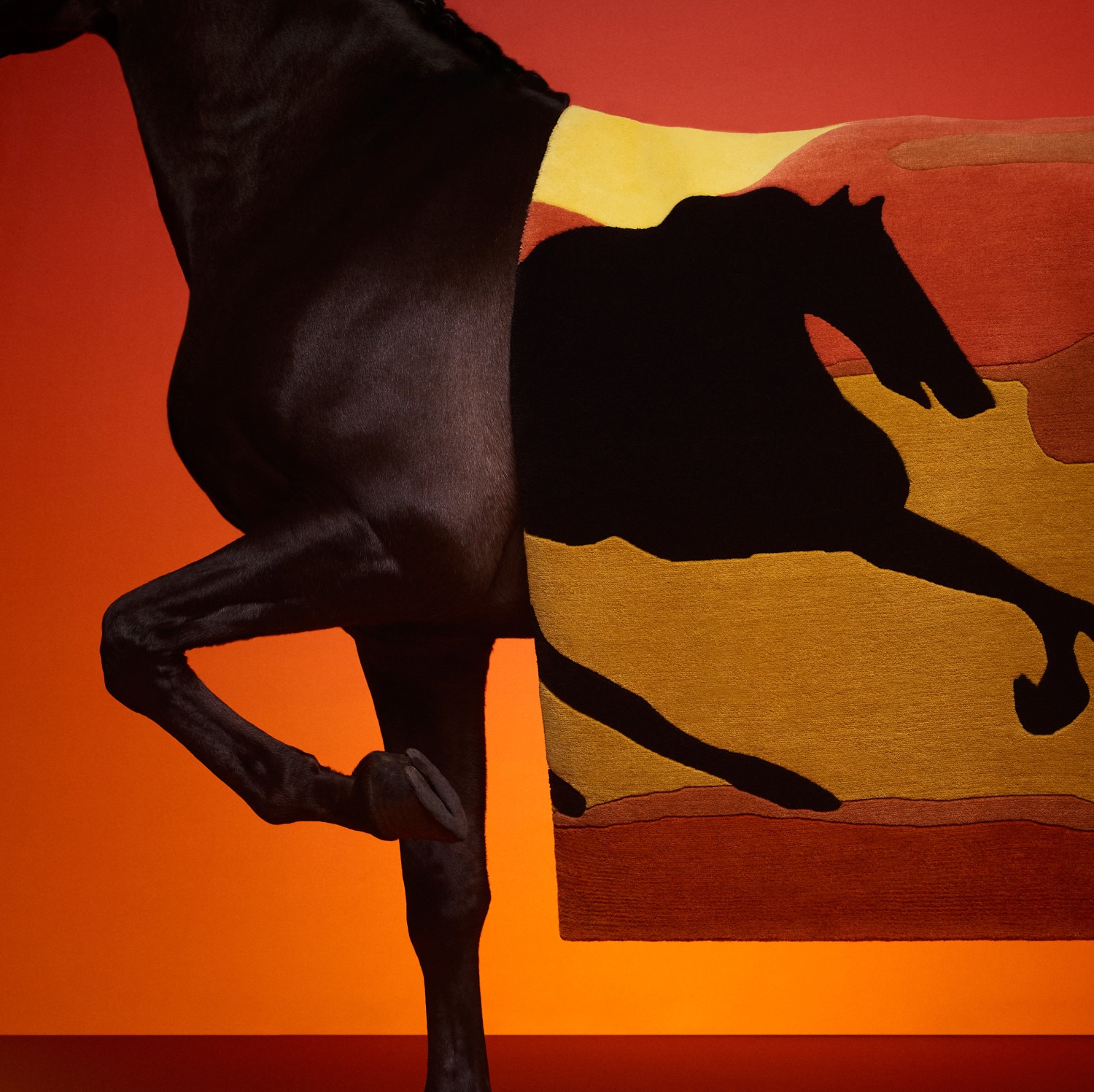 Stallion Leather Sirocco Eau de Parfum 5