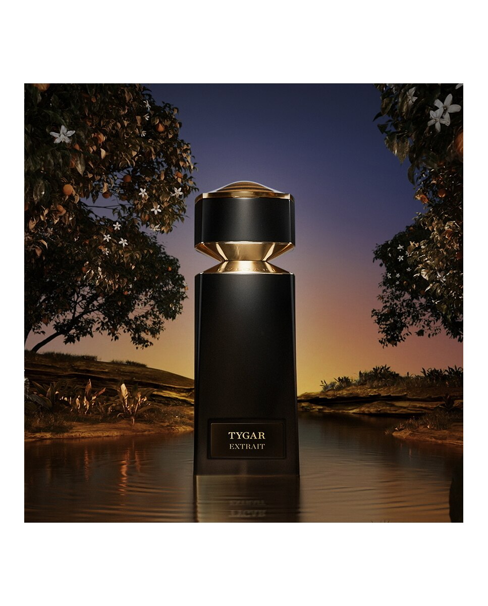 Le Gemme Tygar Extrait Eau de Parfum 6
