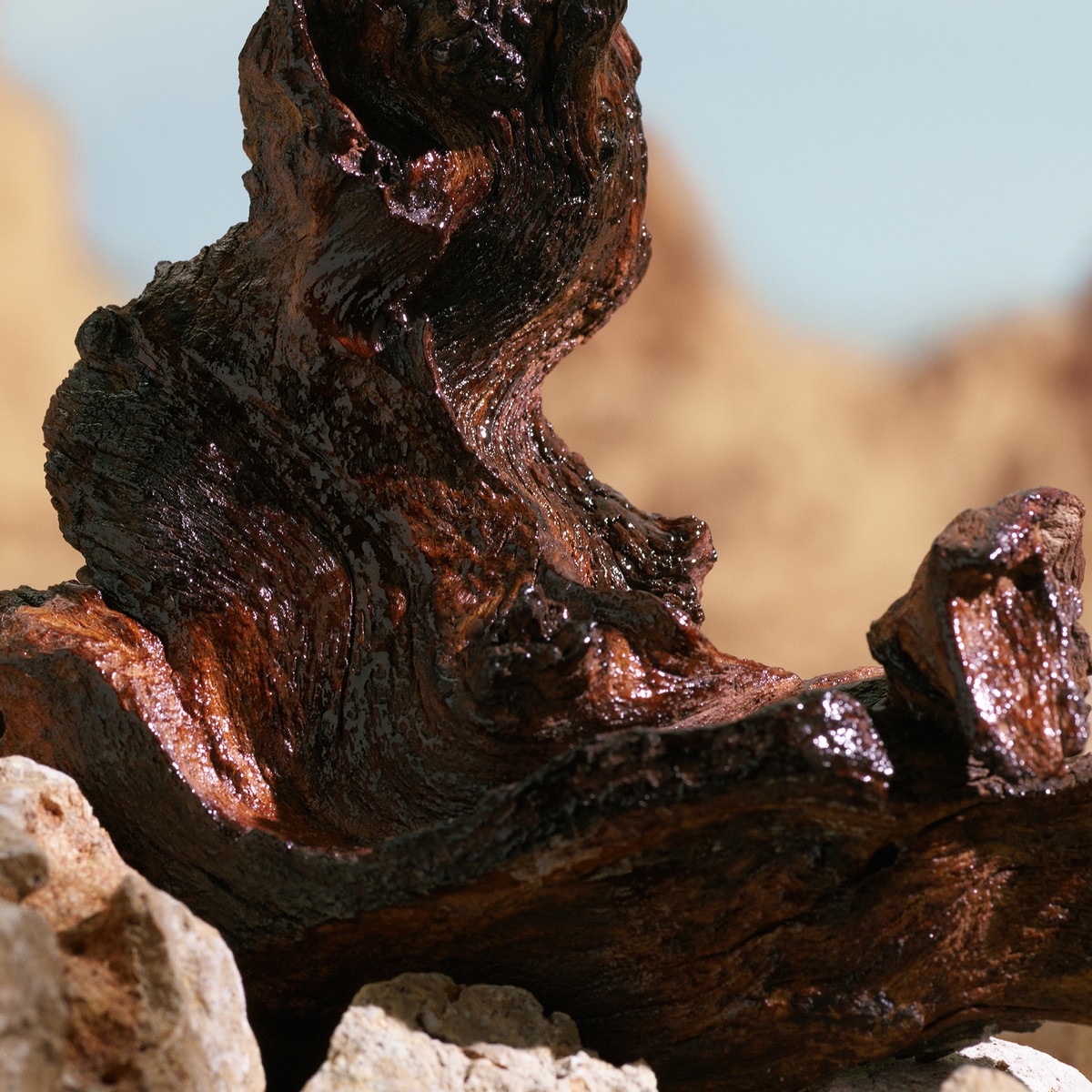 K By Dolce&Gabbana Elixir 4