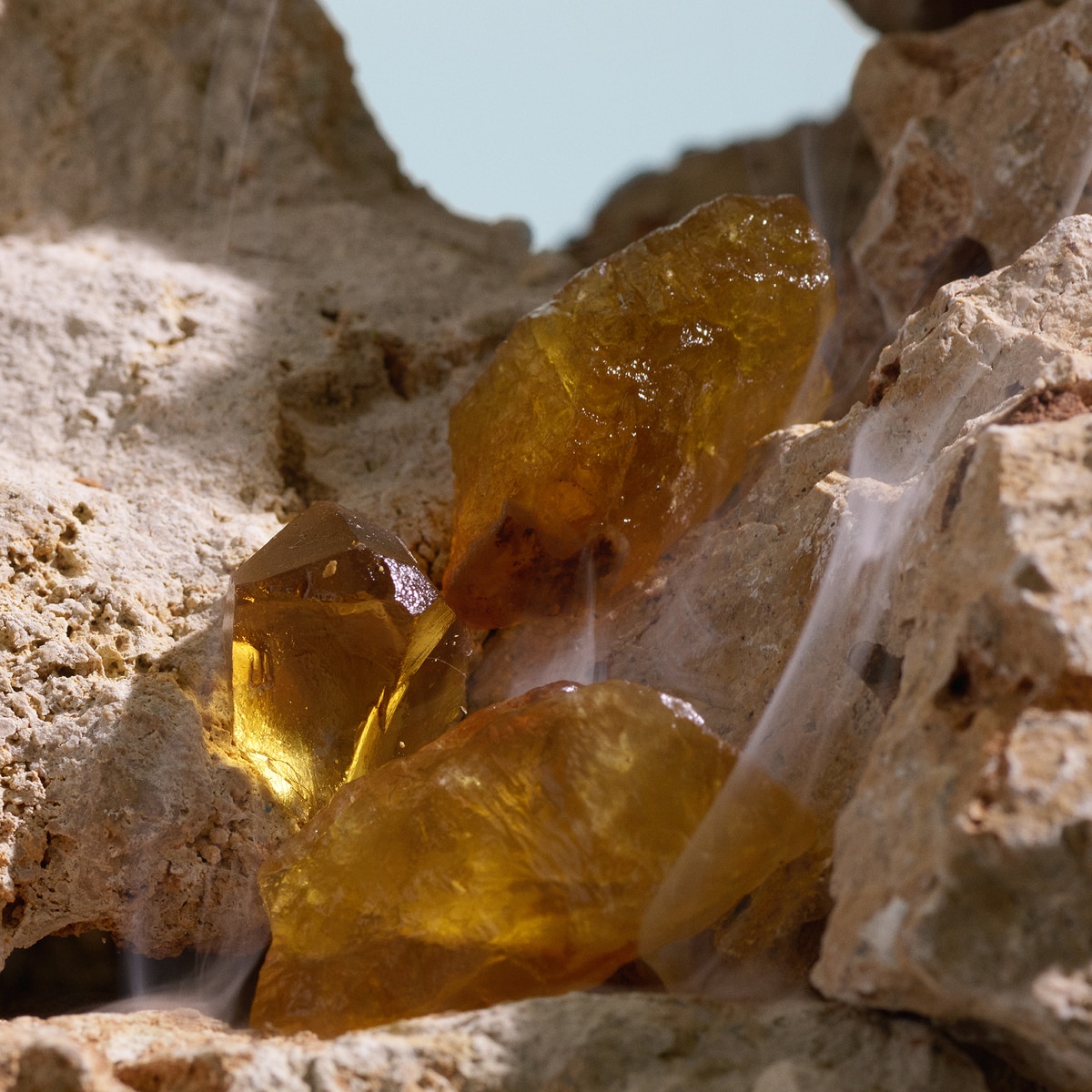 K By Dolce&Gabbana Elixir 6