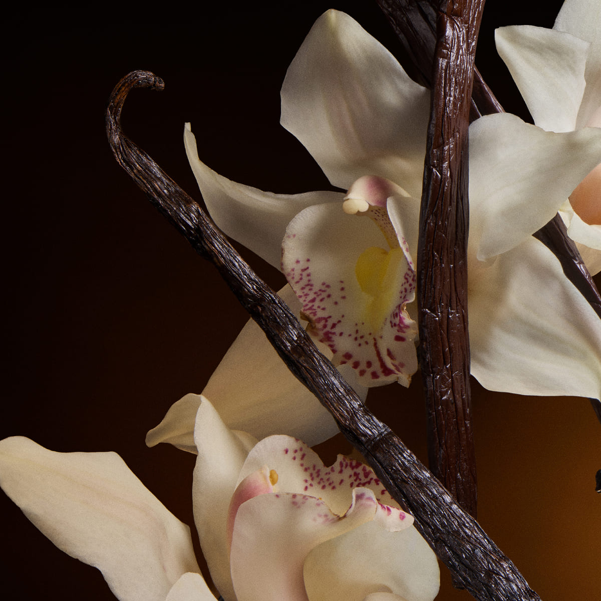 The One Eau De Parfum Intense 5