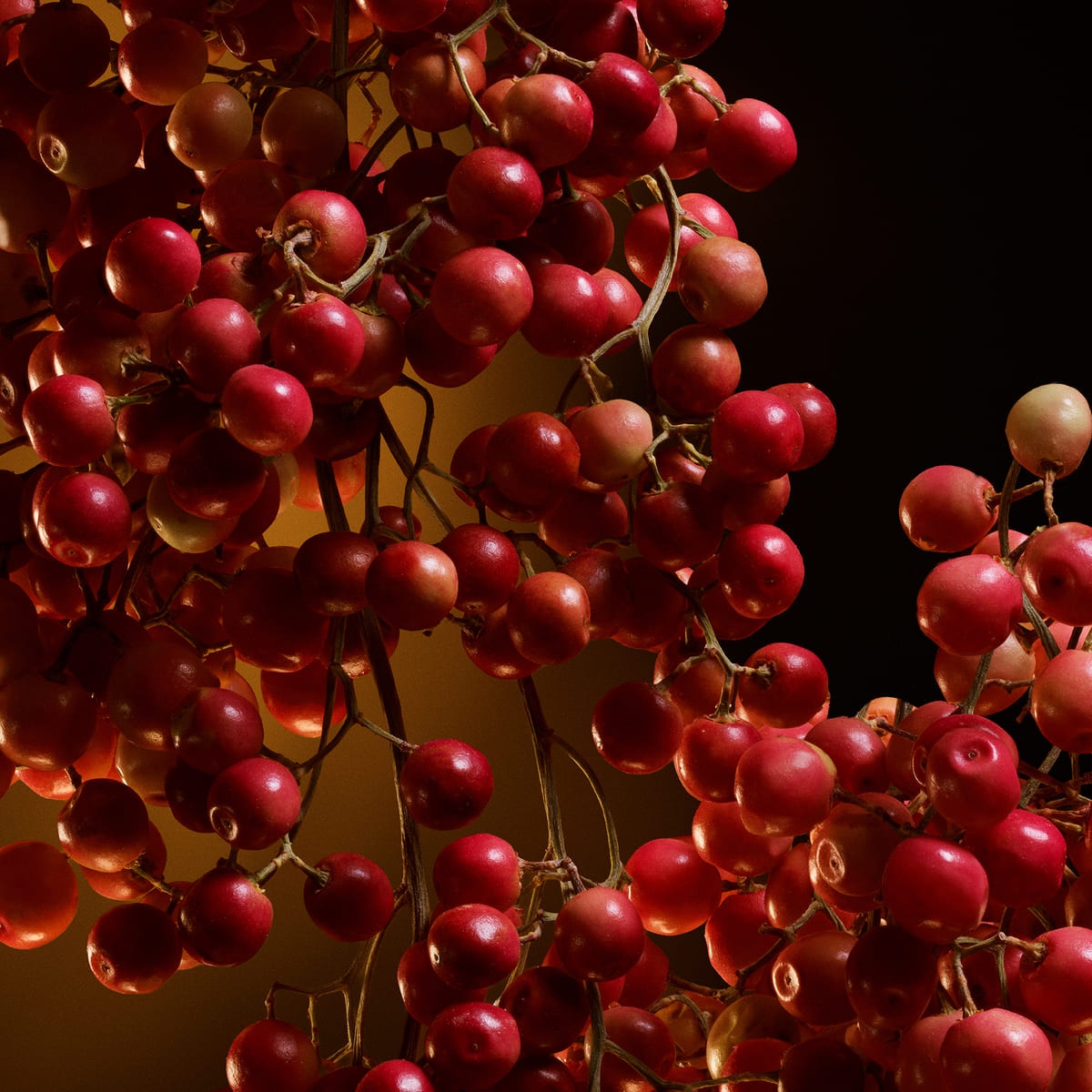 The One Eau De Parfum Intense 6