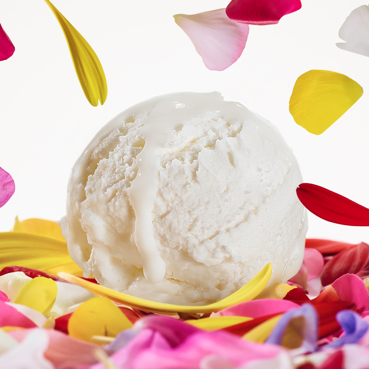 Dolce Magnolia Eau de Parfum 5