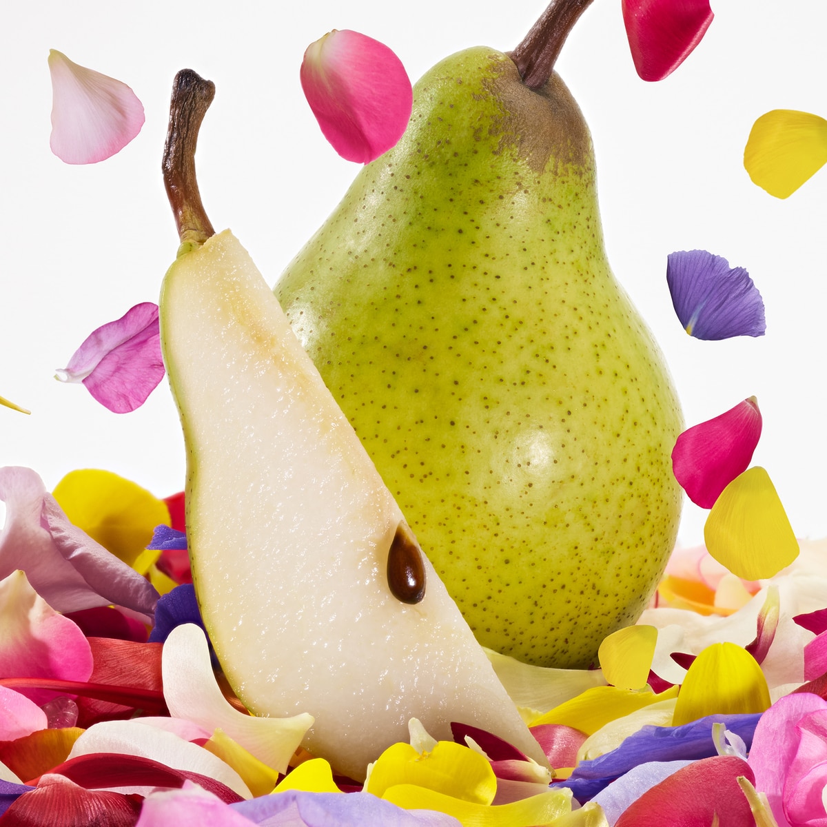 Dolce Magnolia Eau de Parfum 6