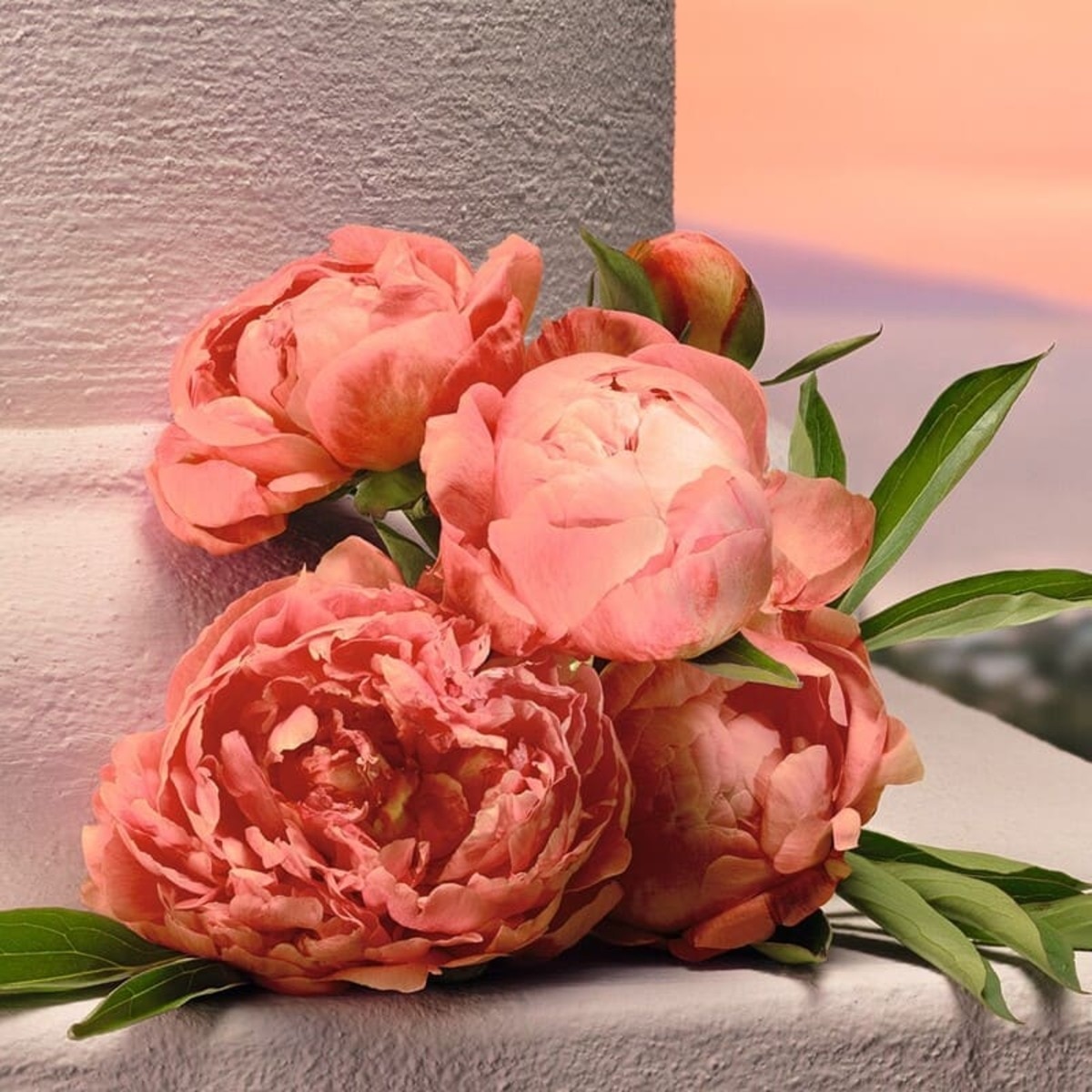 My Devotion Eau de Parfum Intense 5