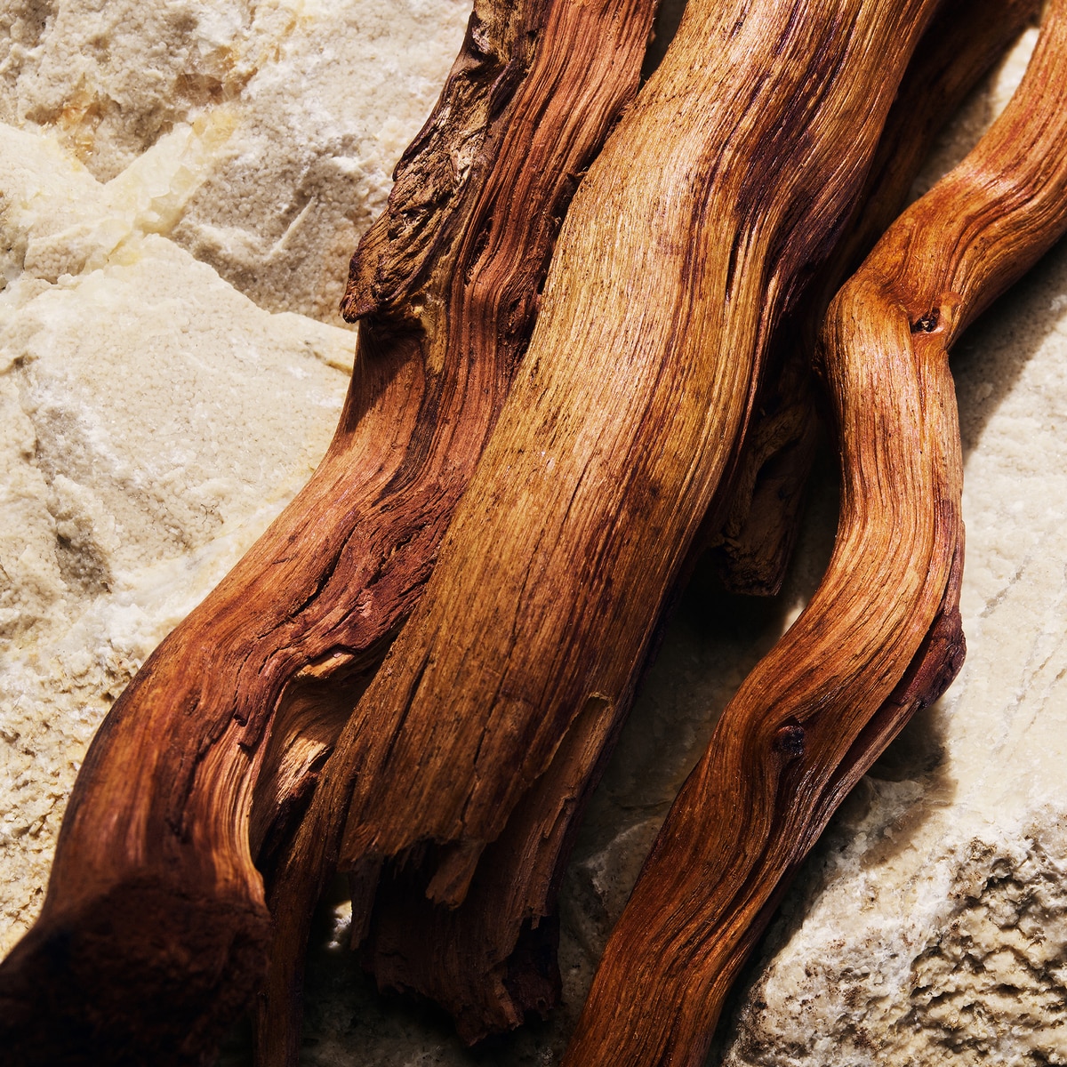 Light Blue Eau de Parfum 6