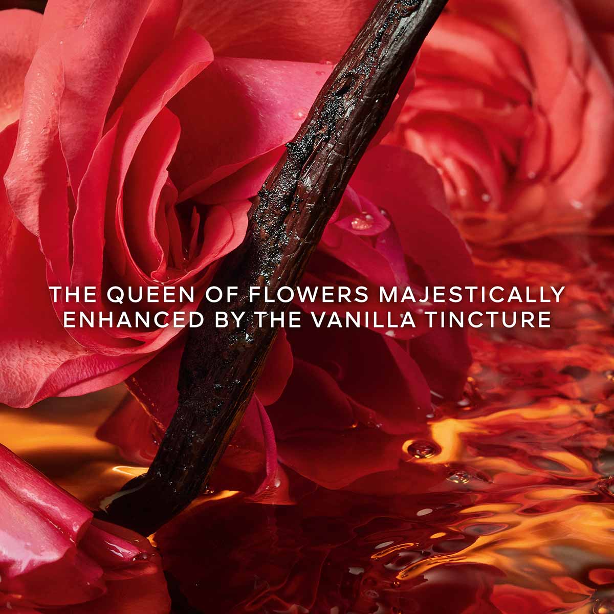 Shalimar Millésime Rose Eau de Parfum - Edição Limitada 4