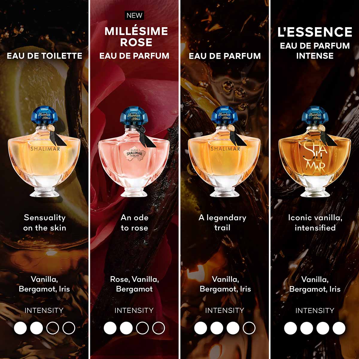 Shalimar Millésime Rose Eau de Parfum - Edição Limitada 9