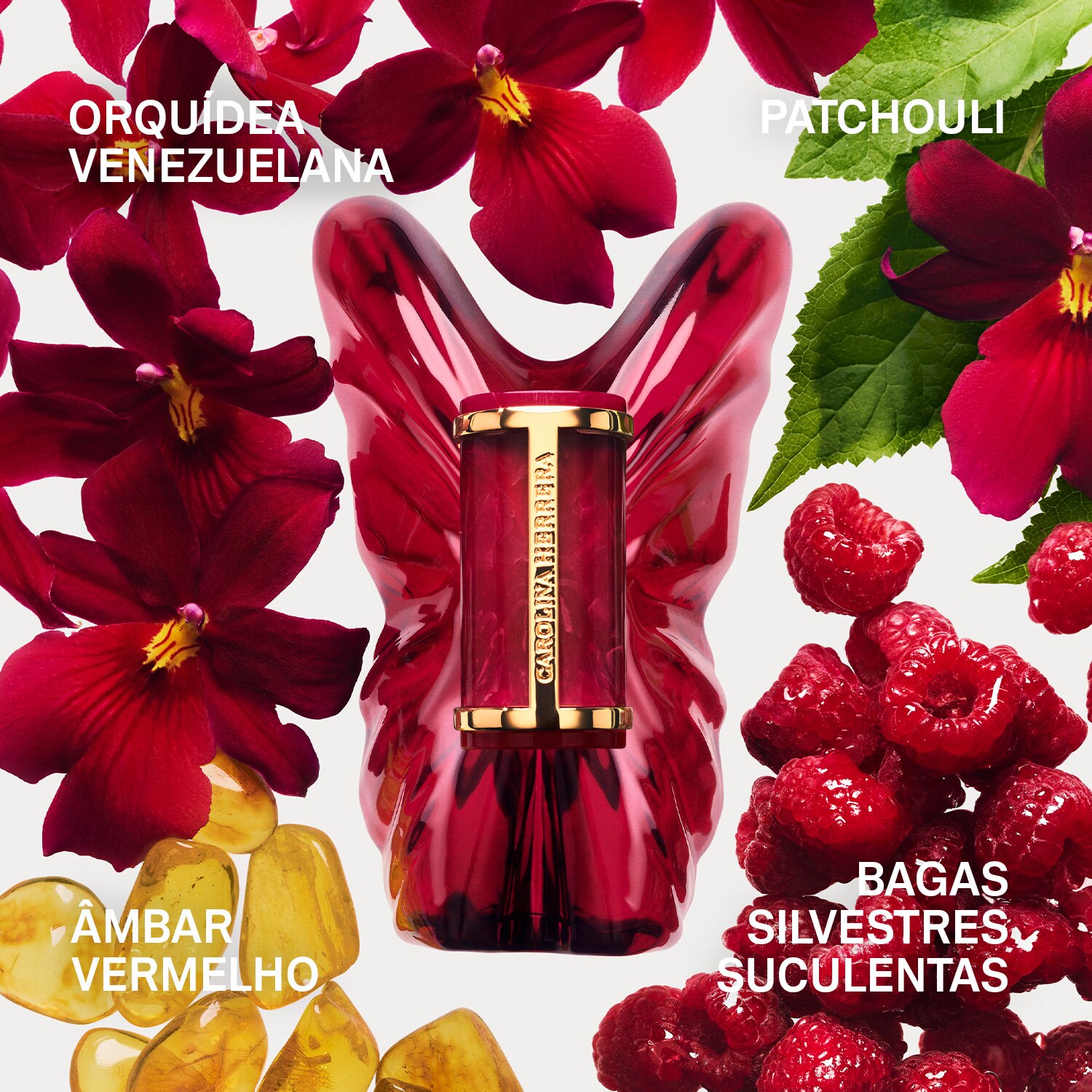 Anel La Bomba Intensa Eau de Parfum 6