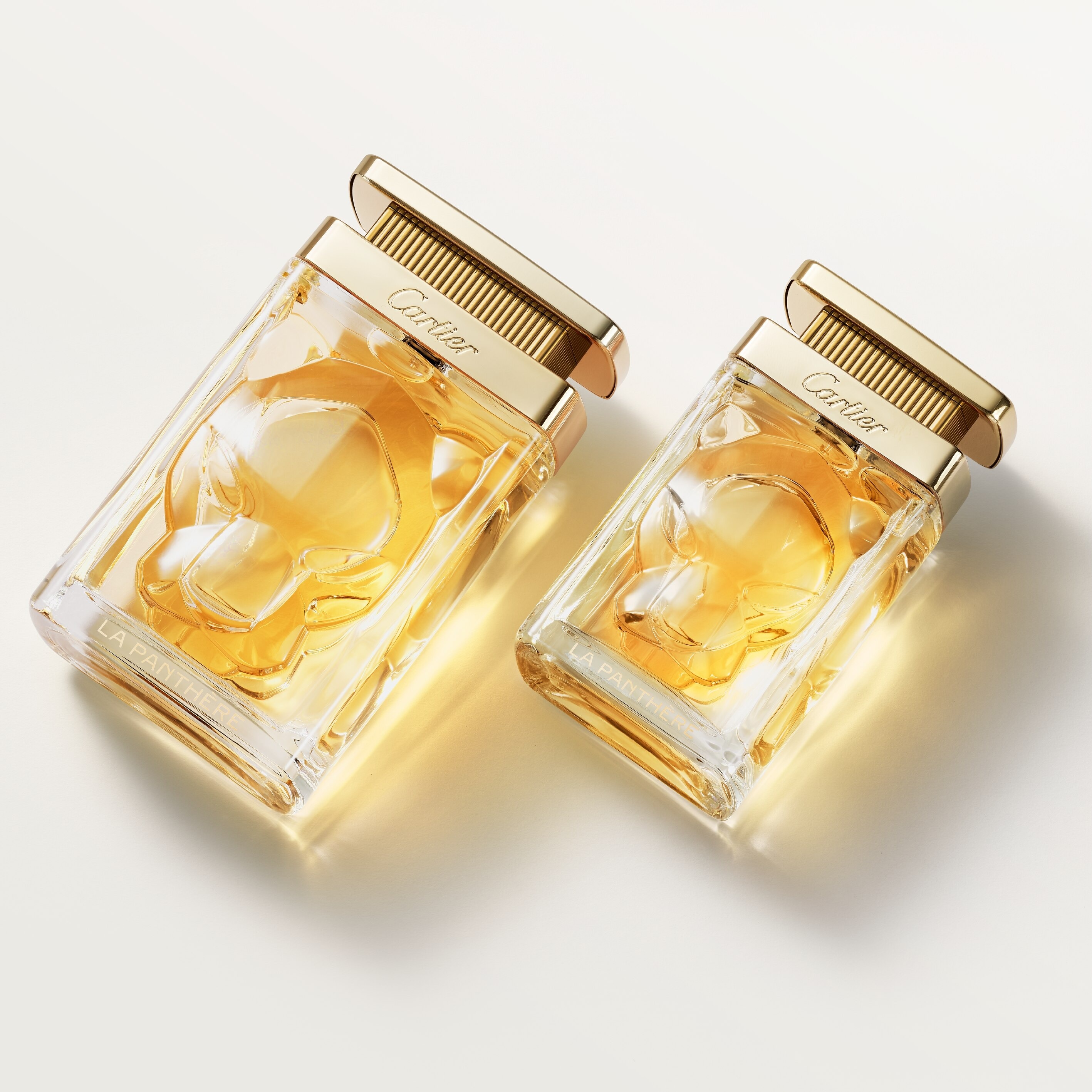 La Panthère Élixir Eau de Parfum Intense 5