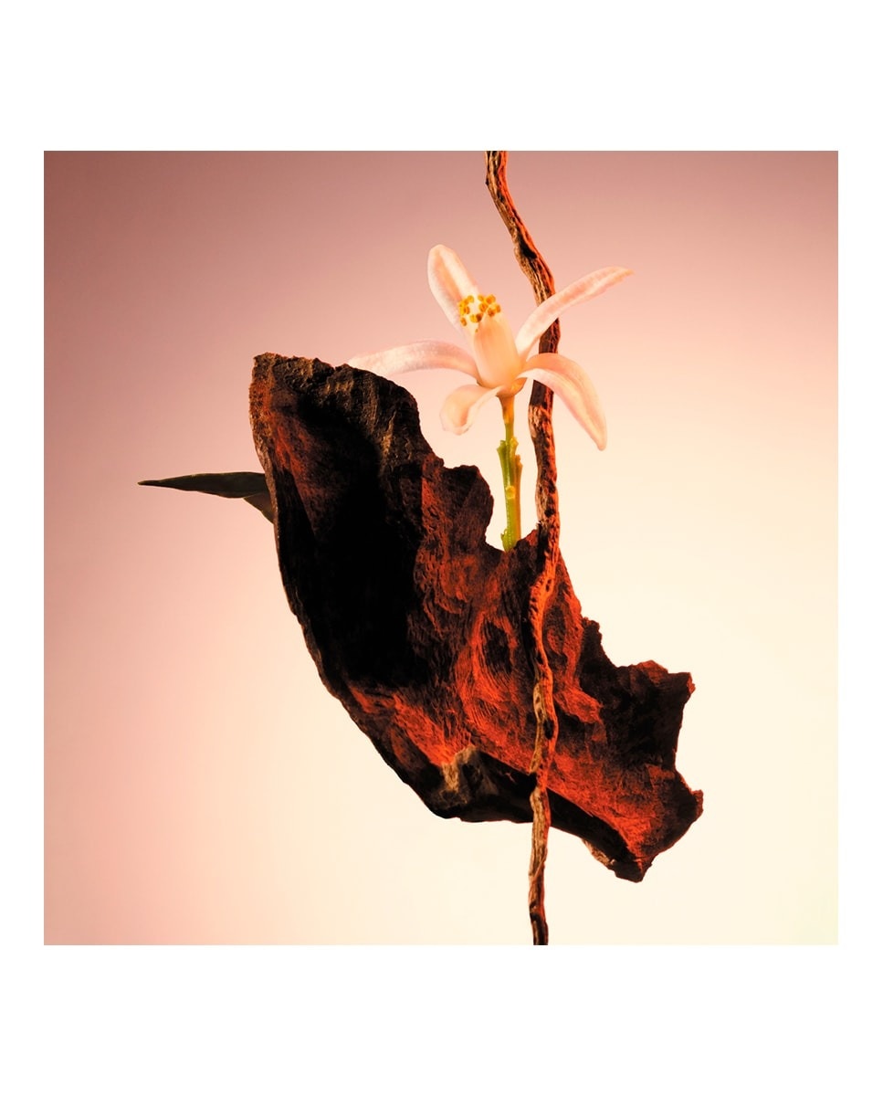 Boss The Scent Eau de Parfum 4