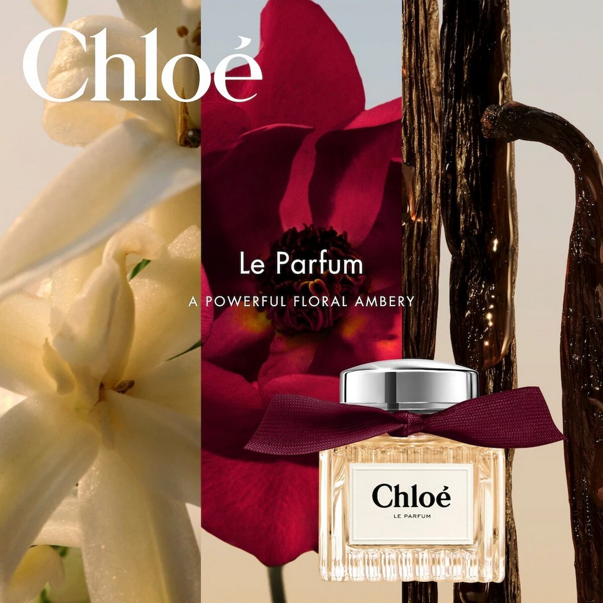 Le Parfum Eau de Parfum Chloé 5