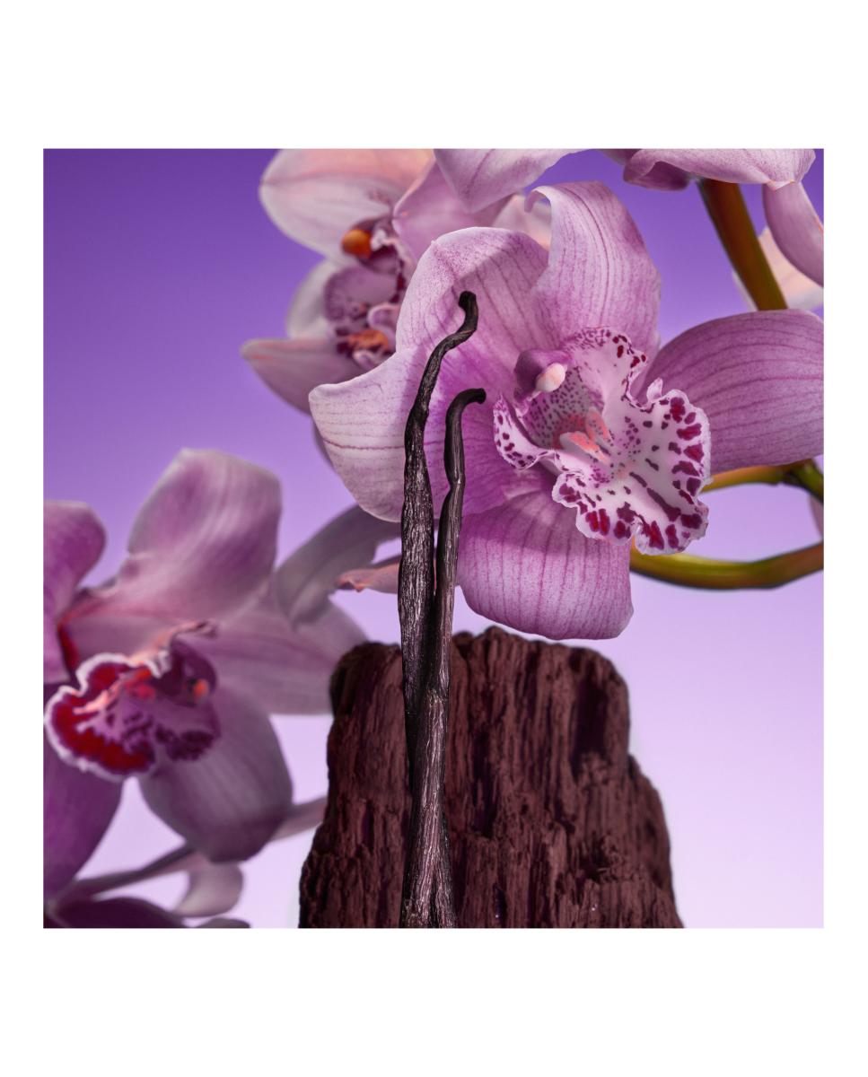 Euphoria Bold Elixir Eau de Parfum Intense 3